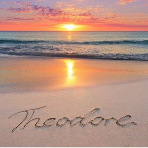 Fundraising Page: Julie Tully